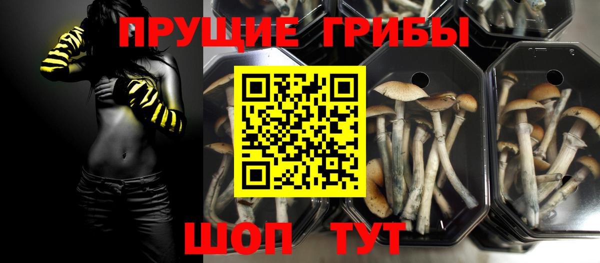 Галлюциногенные грибы ЛСД Шахты