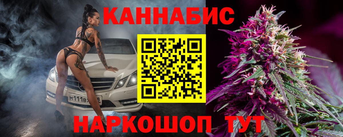Бошки Шишки планчик Шахты
